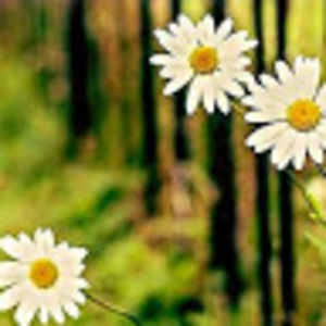 Meet your Posher, Juli